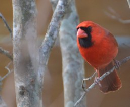 File Feb 16, 3 42 04 PM